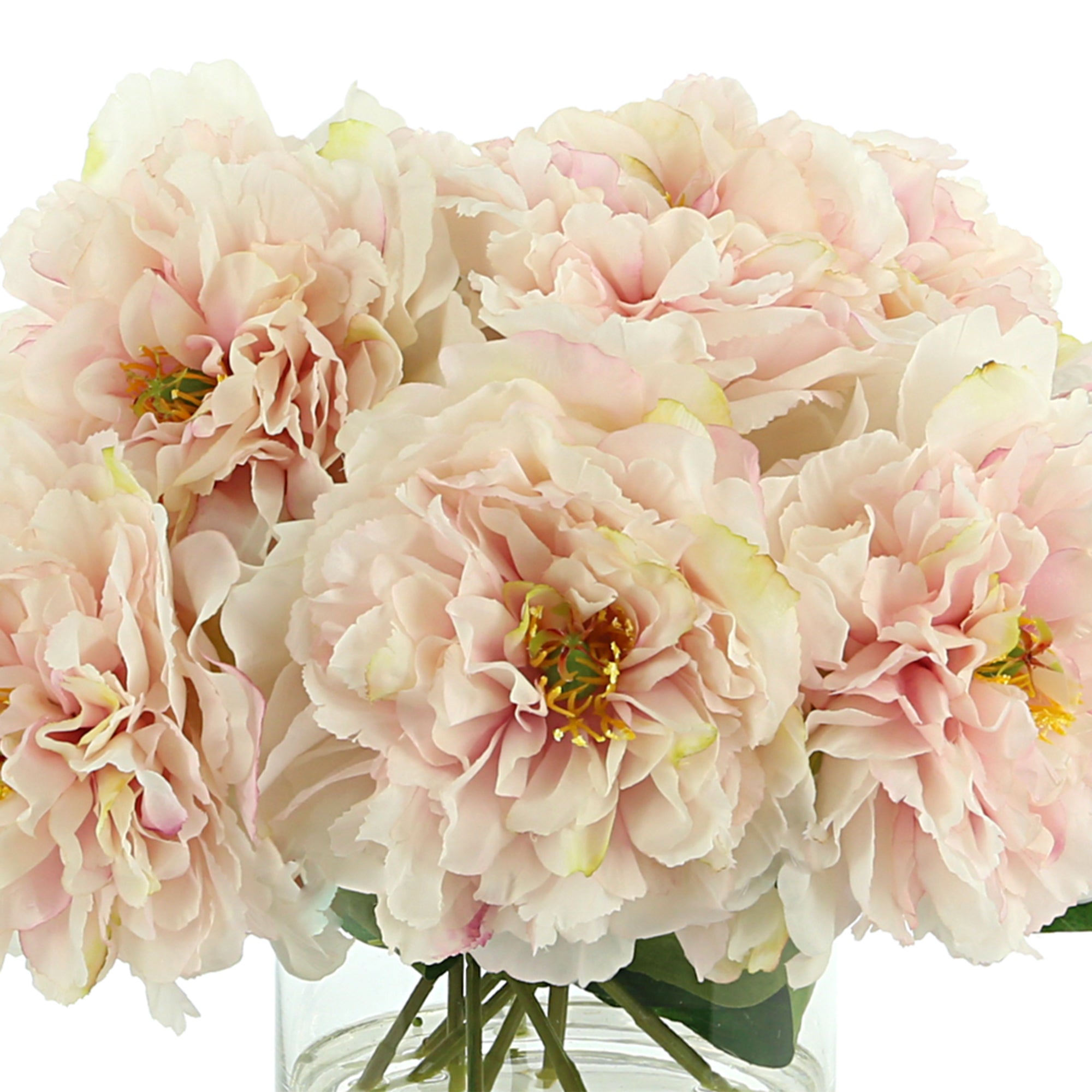 Peonies in clear glass vase