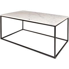 Aryaa Coffee Table